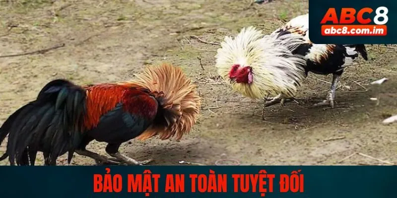 Sân chơi an toàn, minh bạch cá cược