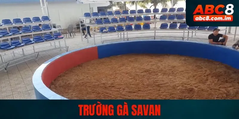 Trường Gà Savan